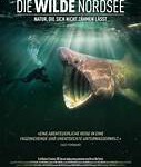 DokuFilm: Die wilde Nordsee